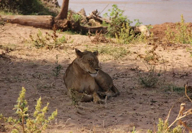 Best Places to Visit in Kenya