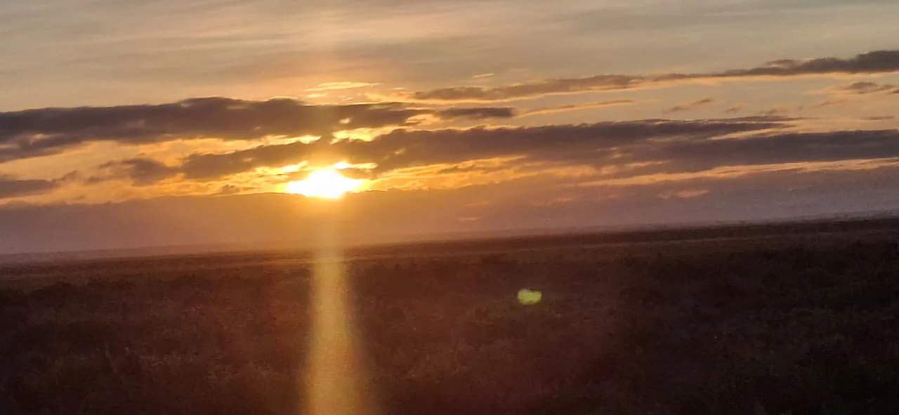 Amboseli Safari