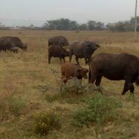 What to Pack for a Kenya Safari