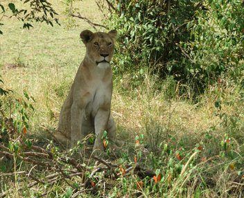 Best Things to Do in Nakuru